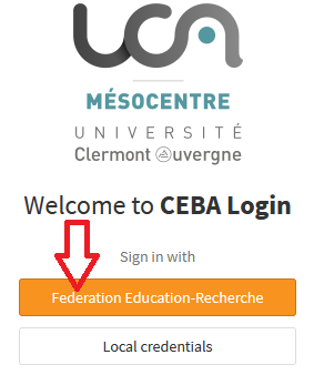 iam_login_page_fer.png