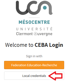 iam_login_page_local.png